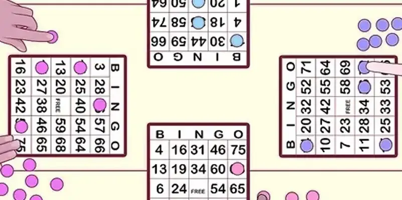 Beginner's Guide How To Play Bingo Plus